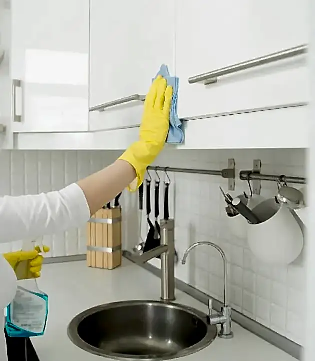 izmir bayraklı temizlik şirketleri, bayraklı temizlik firması